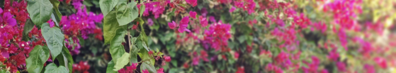 सुरमा BANJARA CO-ORD SET