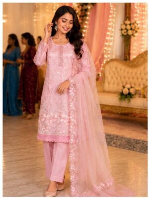 WhatsApp Image 2026-05-30 at 1.47.10 PM Chikankari suit