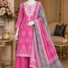 WhatsApp Image 2026-08-06 at 2.25.11 PM (1) Rosy Charm Embroidered Kurta Palazzo Set