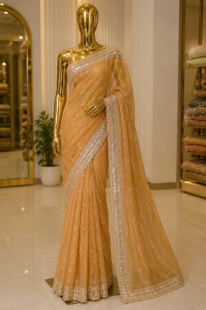 Designer Sequin Border Saree